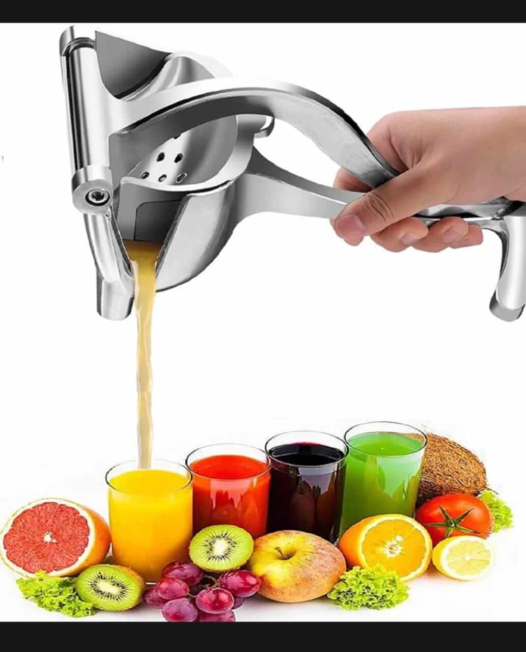 Stainless Steel Fruit Juicer