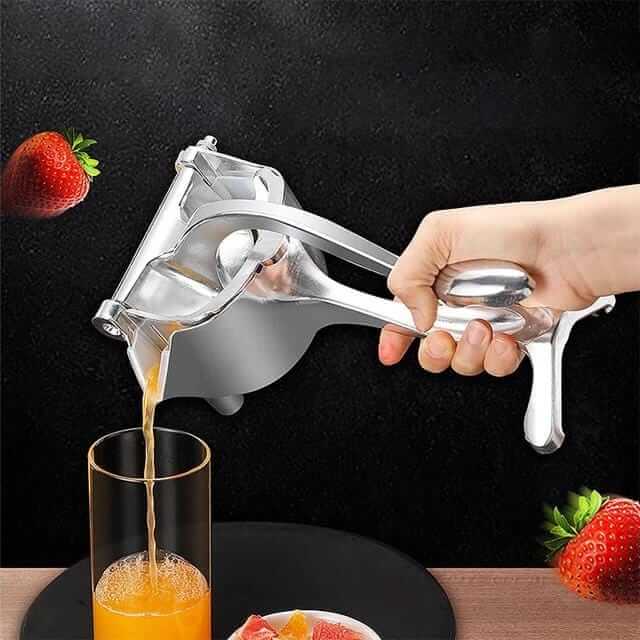 Stainless Steel Fruit Juicer